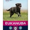 Eukanuba - Croquettes Au Poulet Pour Chien Adulte De Grande Taille - 15Kg -Nourriture pour chien Soldes 26169