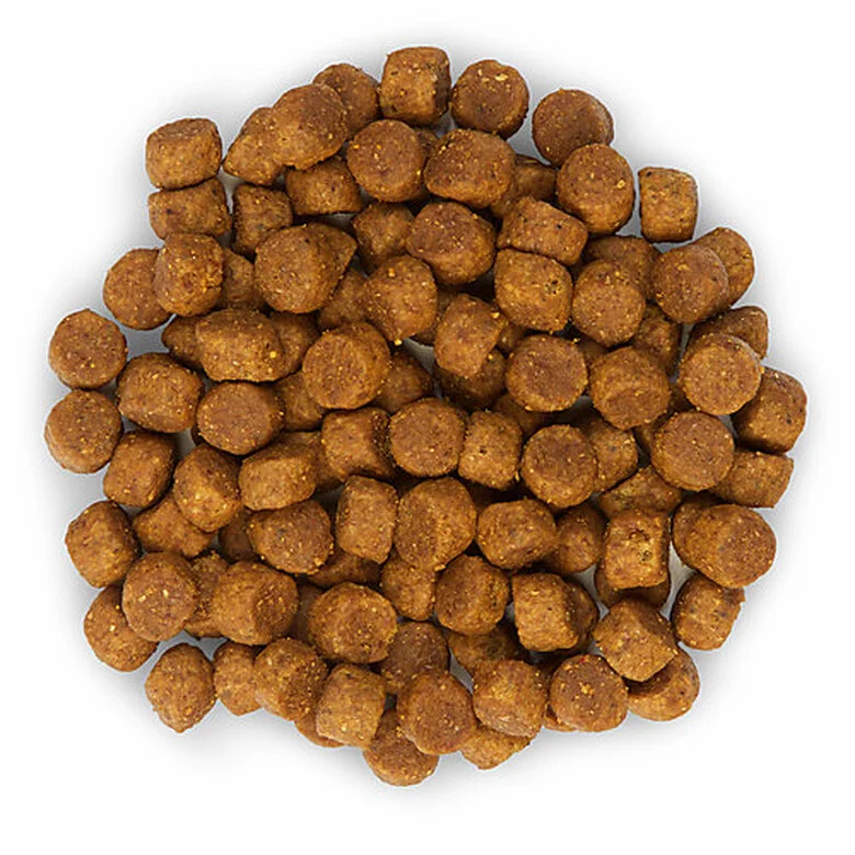 Hill's Science Plan - Croquettes Healthy Development Medium Puppy Poulet Pour Chiot - 12Kg 6 Hill's Science Plan - Croquettes Healthy Development Medium Puppy Poulet Pour Chiot - 12Kg – Image 4