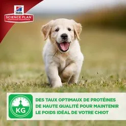 Hill's Science Plan - Croquettes Healthy Development Medium Puppy Poulet Pour Chiot - 12Kg 15 Hill's Science Plan - Croquettes Healthy Development Medium Puppy Poulet Pour Chiot - 12Kg -Nourriture pour chien Soldes 27883
