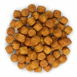 Hill's Science Plan - Croquettes Healthy Mobility Medium Adult Poulet Pour Chien - 12Kg -Nourriture pour chien Soldes 27928