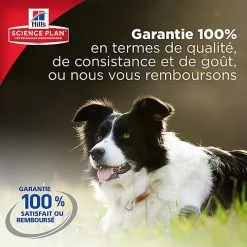 Hill's Science Plan - Croquettes Active Longevity Medium Mature 7+ Poulet Pour Chien - 12Kg -Nourriture pour chien Soldes 27951
