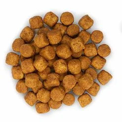 Hill's Science Plan - Croquettes Advanced Fitness Large Adult Poulet Pour Chien - 18Kg -Nourriture pour chien Soldes 28004