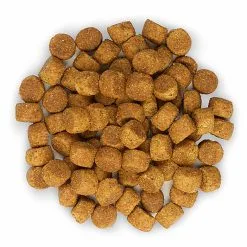Hill's Science Plan - Croquettes Large Breed Au Poulet Pour Chiot - 16Kg -Nourriture pour chien Soldes 28023
