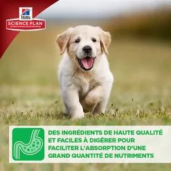 Hill's Science Plan - Croquettes Large Breed Au Poulet Pour Chiot - 16Kg -Nourriture pour chien Soldes 28027