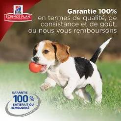 Hill's Science Plan - Croquettes Large Breed Au Poulet Pour Chiot - 16Kg -Nourriture pour chien Soldes 28030