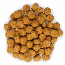 Hill's Science Plan - Croquettes Advanced Fitness Medium Adult Poulet Pour Chien -Nourriture pour chien Soldes 28060