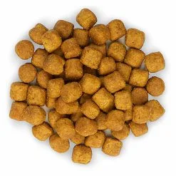Hill's Science Plan - Croquettes à L'Agneau Et Riz Pour Chien De Grande Race - 12Kg -Nourriture pour chien Soldes 28564