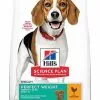 Hill's Science Plan Hill's - Canine Adult Perfect Weight Medium Poulet Pour Chien - 2Kg -Nourriture pour chien Soldes 40468