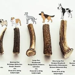 Animalis - Friandise Bois De Cerf Entier Pour Chien -Nourriture pour chien Soldes 41022