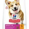 Hill's Science Plan - Croquettes Au Poulet Et Dinde Pour Chien De Petite Race -Nourriture pour chien Soldes 41166