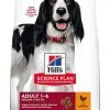 Hill's Science Plan - Croquettes Advanced Fitness Medium Adult Poulet Pour Chien -Nourriture pour chien Soldes 41171