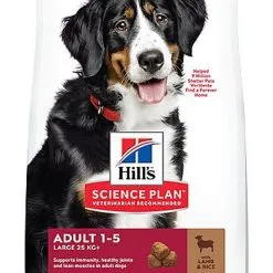Hill's Science Plan - Croquettes à L'Agneau Et Riz Pour Chien De Grande Race - 12Kg