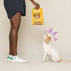 Edgard & Cooper - Croquettes BIO à La Dinde Et Poulet Pour Chien - 2,5Kg 11 Edgard & Cooper - Croquettes BIO à La Dinde Et Poulet Pour Chien - 2,5Kg -Nourriture pour chien Soldes 46557 1