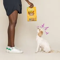 Edgard & Cooper - Croquettes BIO à La Dinde Et Poulet Pour Chien - 7Kg 11 Edgard & Cooper - Croquettes BIO à La Dinde Et Poulet Pour Chien - 7Kg -Nourriture pour chien Soldes 46557