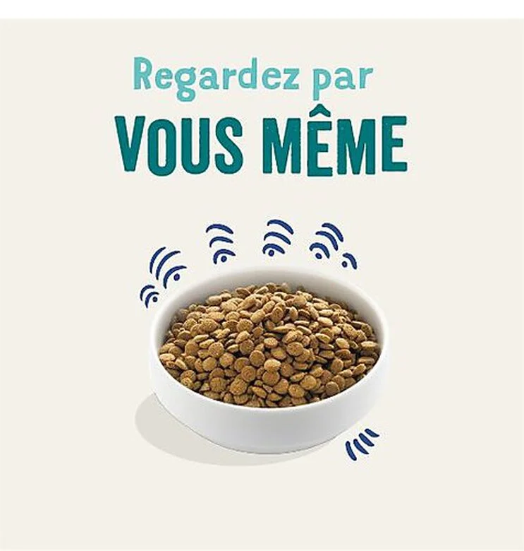 Edgard & Cooper - Croquettes Au Saumon Pour Chien - 12Kg 4 Edgard & Cooper - Croquettes Au Saumon Pour Chien - 12Kg – Image 2