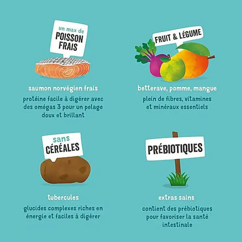 Edgard & Cooper - Croquettes Au Saumon Pour Chien - 7Kg 7 Edgard & Cooper - Croquettes Au Saumon Pour Chien - 7Kg – Image 5