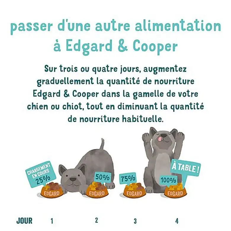 Edgard & Cooper - Croquettes Au Saumon Pour Chien - 7Kg 10 Edgard & Cooper - Croquettes Au Saumon Pour Chien - 7Kg – Image 8