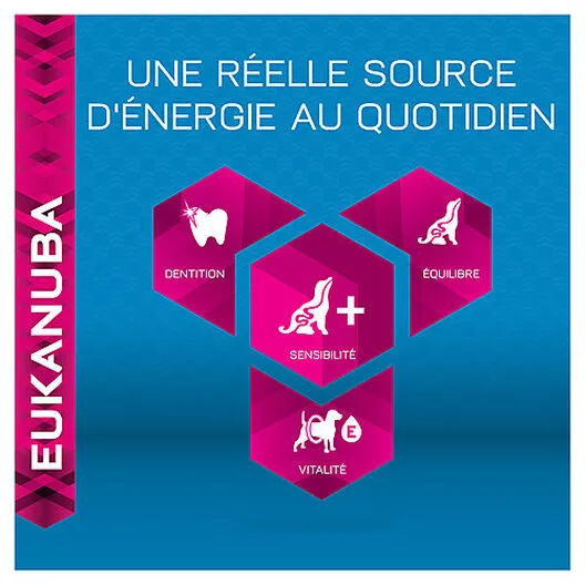 Eukanuba - Croquettes Mature 7+ à L'Agneau Et Riz Pour Chien Sénior - 12Kg 9 Eukanuba - Croquettes Mature 7+ à L'Agneau Et Riz Pour Chien Sénior - 12Kg – Image 7