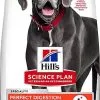 Hill's Science Plan - Croquettes Adulte Large Breed Perfect Digestion Au Poulet Pour Chien - 12Kg -Nourriture pour chien Soldes 63645