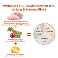 Wellness CORE - Croquettes Senior Dinde Et Poulet Pour Chien - 1,8Kg -Nourriture pour chien Soldes 64071
