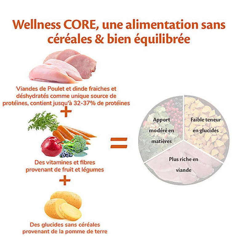 Wellness CORE - Croquettes Original Dinde Et Poulet Pour Chien Petite Race - 1,5Kg 6 Wellness CORE - Croquettes Original Dinde Et Poulet Pour Chien Petite Race - 1,5Kg – Image 4