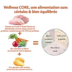 Wellness CORE - Croquettes Light à La Dinde Pour Chien - 10Kg -Nourriture pour chien Soldes 64100