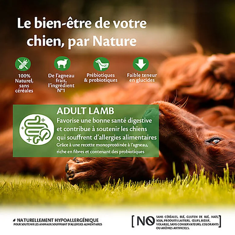 Wellness CORE - Croquettes à L'Agneau Pour Chien De Toutes Races - 1,8Kg 4 Wellness CORE - Croquettes à L'Agneau Pour Chien De Toutes Races - 1,8Kg – Image 2