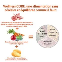 Wellness CORE - Croquettes à L'Agneau Pour Chien De Toutes Races - 1,8Kg 11 Wellness CORE - Croquettes à L'Agneau Pour Chien De Toutes Races - 1,8Kg -Nourriture pour chien Soldes 64196