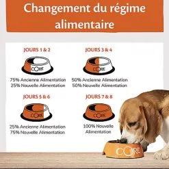 Wellness CORE - Croquettes à L'Agneau Pour Chien De Toutes Races - 1,8Kg 12 Wellness CORE - Croquettes à L'Agneau Pour Chien De Toutes Races - 1,8Kg -Nourriture pour chien Soldes 64197