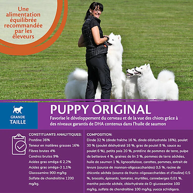 Wellness CORE - Croquettes Puppy Poulet Pour Chiot Grande Race - 10Kg 5 Wellness CORE - Croquettes Puppy Poulet Pour Chiot Grande Race - 10Kg – Image 3