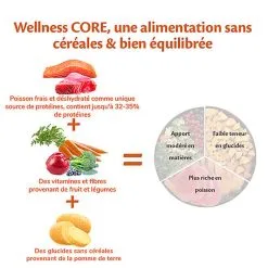 Wellness CORE - Croquettes Océan Saumon Et Thon Pour Chien De Petite Race - 5Kg -Nourriture pour chien Soldes 64222