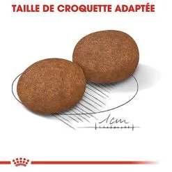 Royal Canin - Croquettes Medium Adulte 7+ Pour Chien -Nourriture pour chien Soldes 66800