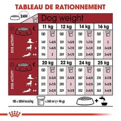 Royal Canin - Croquettes Medium Adulte 7+ Pour Chien -Nourriture pour chien Soldes 66803