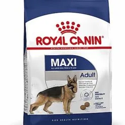 Royal Canin - Croquettes Maxi Adult Pour Chien -Nourriture pour chien Soldes 66820