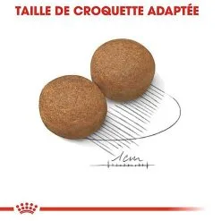 Royal Canin - Croquettes Maxi Adult Pour Chien -Nourriture pour chien Soldes 66830