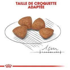 Royal Canin - Croquettes Puppy X-Small Pour Chiot De Petite Taille - 1,5Kg -Nourriture pour chien Soldes 66878