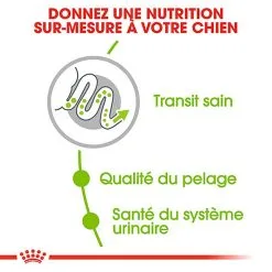 Royal Canin - Croquettes X-Small Pour Chien Adulte De Petite Taille - 1,5Kg -Nourriture pour chien Soldes 66883