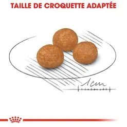Royal Canin - Croquettes X-Small Pour Chien Adulte De Petite Taille - 1,5Kg -Nourriture pour chien Soldes 66884