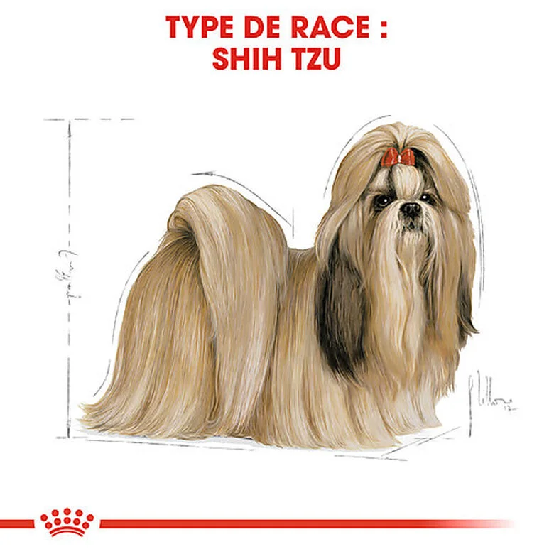 Royal Canin - Croquettes Shih Tzu Pour Chien Adulte - 3Kg 4 Royal Canin - Croquettes Shih Tzu Pour Chien Adulte - 3Kg – Image 2