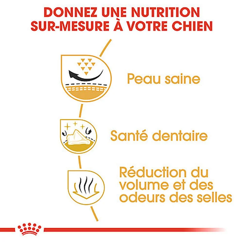 Royal Canin - Croquettes Shih Tzu Pour Chien Adulte - 3Kg 7 Royal Canin - Croquettes Shih Tzu Pour Chien Adulte - 3Kg – Image 5