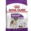 Royal Canin - Croquettes Giant Adult Pour Chien - 15Kg