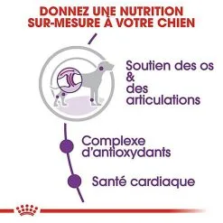 Royal Canin - Croquettes Giant Adult Pour Chien - 15Kg 12 Royal Canin - Croquettes Giant Adult Pour Chien - 15Kg -Nourriture pour chien Soldes 66953