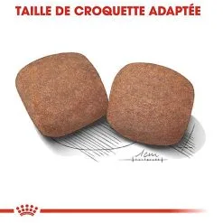 Royal Canin - Croquettes Giant Adult Pour Chien - 15Kg 13 Royal Canin - Croquettes Giant Adult Pour Chien - 15Kg -Nourriture pour chien Soldes 66954