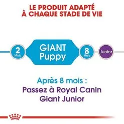 Royal Canin - Croquettes Giant Puppy Pour Chiot - 15Kg -Nourriture pour chien Soldes 66959