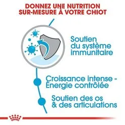 Royal Canin - Croquettes Giant Puppy Pour Chiot - 15Kg -Nourriture pour chien Soldes 66960