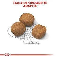 Royal Canin - Croquettes Giant Puppy Pour Chiot - 15Kg -Nourriture pour chien Soldes 66961
