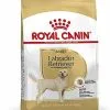 Royal Canin - Croquettes Labrador Pour Chien Adulte -Nourriture pour chien Soldes 67028