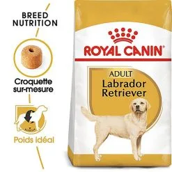 Royal Canin - Croquettes Labrador Pour Chien Adulte -Nourriture pour chien Soldes 67030
