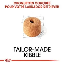 Royal Canin - Croquettes Labrador Pour Chien Adulte -Nourriture pour chien Soldes 67031