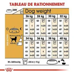 Royal Canin - Croquettes Labrador Pour Chien Adulte -Nourriture pour chien Soldes 67033